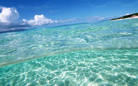 ocean wallpaper free desktop wallpapers Underwater Wallpaper, Ocean Wallpaper, Summer Wallpaper ...