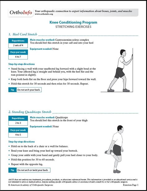 Exercises To Strengthen The Knee Joint And Quadriceps – Online degrees