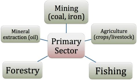 Key Concepts- Sectors Of The Indian Economy Class 10 Notes | EduRev