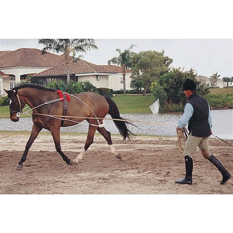 Horse Lunging Equipment & Accessories | The Farm House