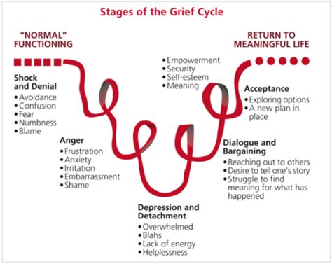 What is Grief Cycle; Examples and Stages of Grief