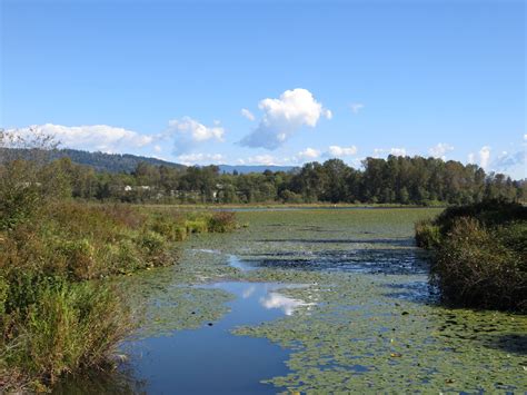 Burnaby lake Burnaby, Lake, Canada, River, Mountains, Views, Natural Landmarks, Awesome, Nature