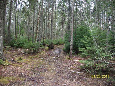 Birch Point State Park - Maine Trail Finder