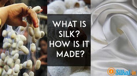 What is silk? How silk is produced, Everything you need to know about Silk