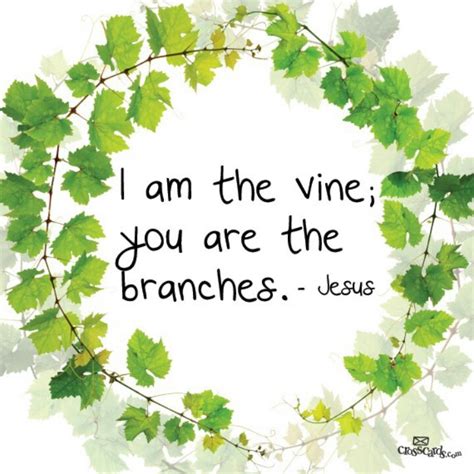 Vine branches clipart 20 free Cliparts | Download images on Clipground 2024