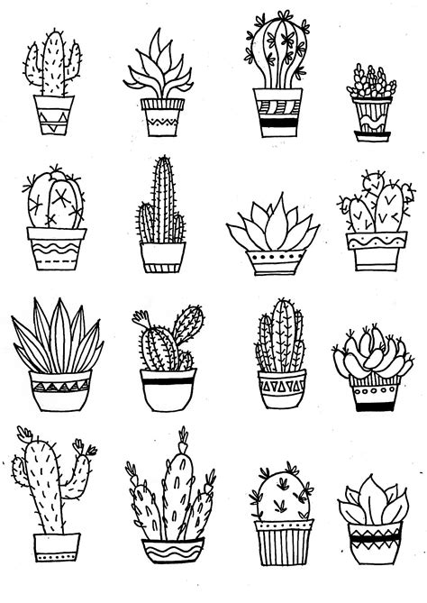 Cactus illustration, doodle Cactus Doodle, Plant Doodle, Cactus Art, Cactus Garden, Cactus ...