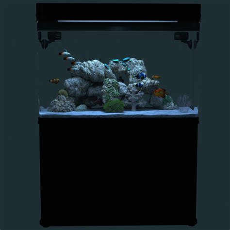 3d model marine aquarium