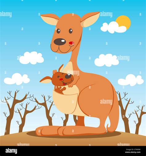 Inside kangaroo pouch baby hi-res stock photography and images - Alamy