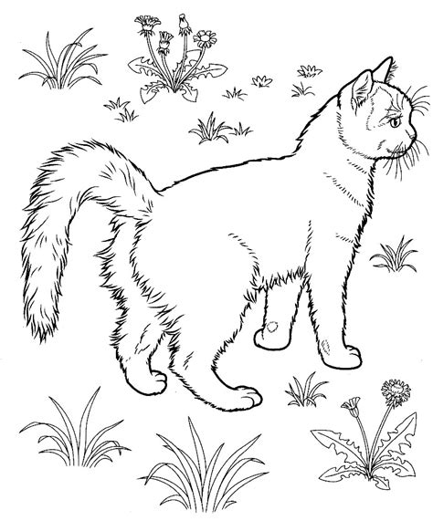 Free Printable Kitten Coloring Pages For Kids - Best Coloring Pages For ...