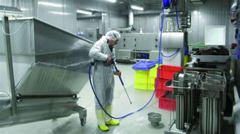 What you need to know about Cleaning and Sanitizing in Food Processing and Beverage Plants ...