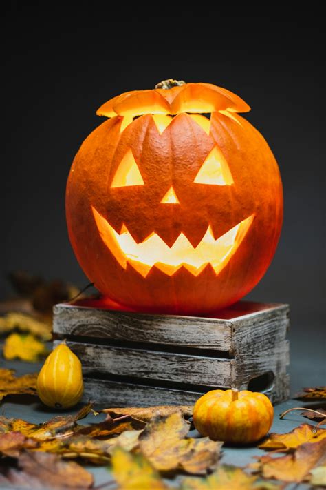 Halloween Pumpkin Pictures | Download Free Images on Unsplash