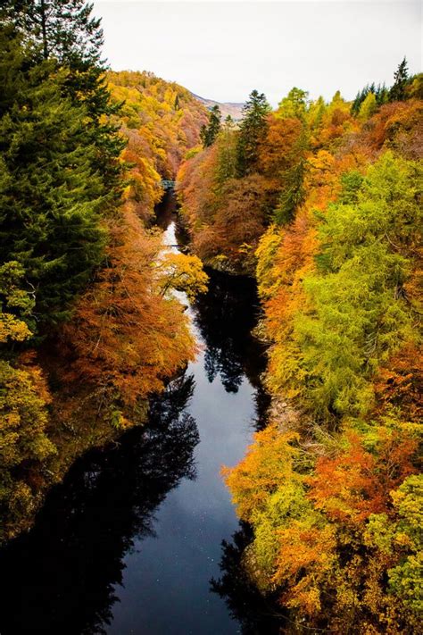 Witnessing the Display of Fall Colors in Scotland | Travelettes | Bloglovin’