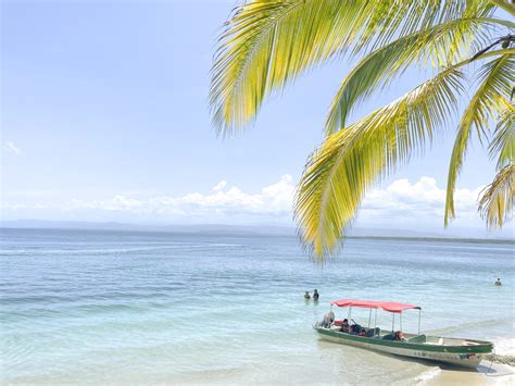 Discover Paradise at the Best Bocas del Toro Beaches