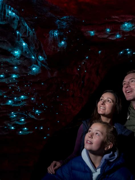 Te Anau Glowworm Caves Experience » VisitorPoint