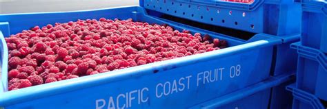 Pacific Coast Fruit Products Ltd. | Processing and trading fruit ...