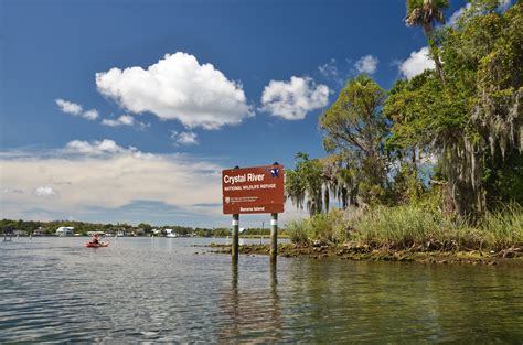 Paddling Banana Island – Kings Bay | Florida Paddle Notes