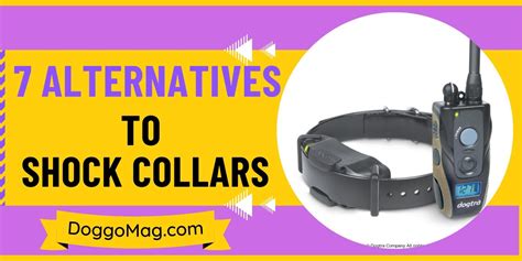 Shock Collar Alternatives To Train Your Dog Organically - DoggoMag