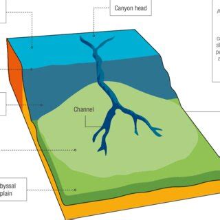 Overview of the main elements of a submarine canyon. | Download Scientific Diagram