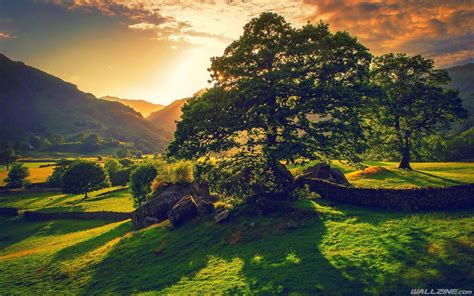 Sunset Green Landscape | Irish landscape, Landscape trees, Countryside wallpaper