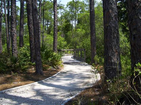 Timpoochee Trail - Bike Florida