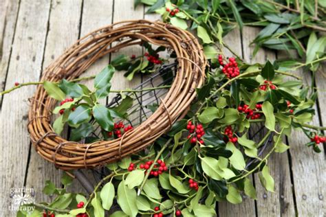 A Very Merry Fresh Holly Wreath for Christmas - Garden Therapy