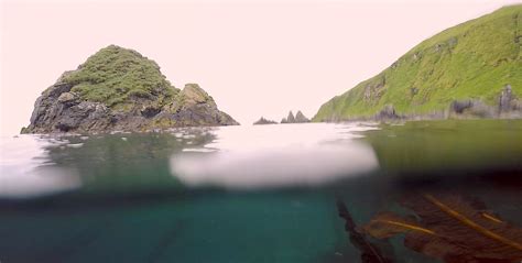 Grandeur at Land's End - Attu Island - KELP ECOLOGY AT SDSU