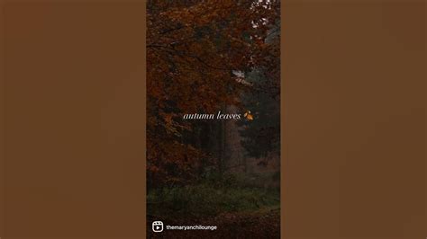 🍂 “Autumn Leaves” (Piano Cover) | Virginio Aiello #fall #studymusic #pianocover #autumnleaves ...