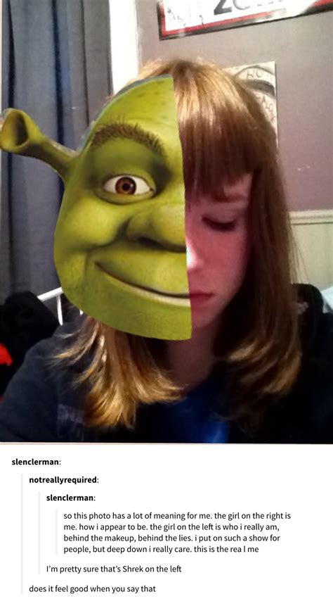 Literally Just 24 Shrek Posts That No One Ever Asked For | Shrek, Shrek memes, Stupid memes