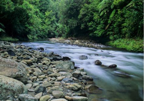 Our Water – New Zealand Miracle Water