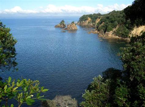 Mōtītī Island coastline – Bay of Plenty places – Te Ara Encyclopedia of New Zealand