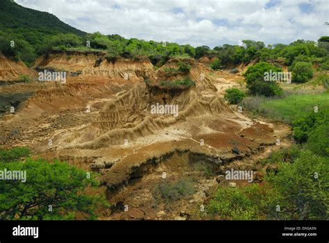 Deep donga due to soil erosion, Ithala Game reserve Stock Photo - Alamy