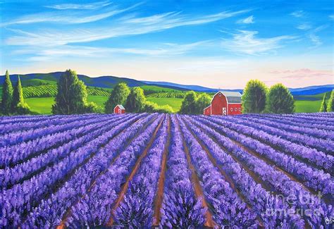 Lavender Fields Painting by Christine Swanson - Fine Art America