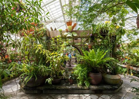 Inside San Francisco Golden Gate Park's Conservatory of Flowers - Curbed SF