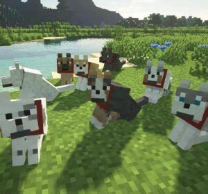 239 Minecraft Dog Names That Will Put A Smile On Steve - The Goody Pet