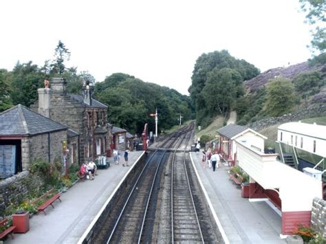 Quick stop - Reviews, Photos - Goathland Station - Tripadvisor