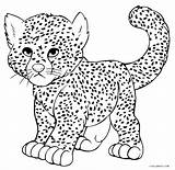 Baby Cheetah Coloring Page  Free Printable Pages sketch template