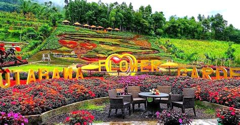 Lokasi dan Harga Tiket Masuk Kutabawa Flower Garden Purbalingga Terbaru ...