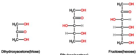 Aldose vs. Ketose: Structural Isomeric Monosaccharides - PSIBERG