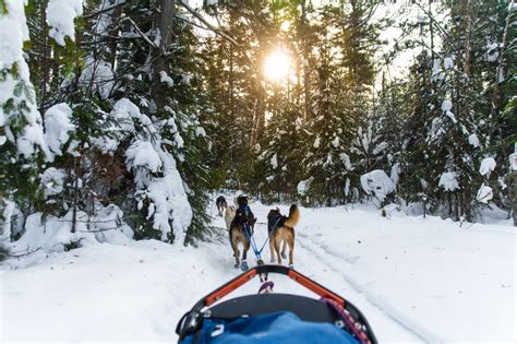 Boundary Waters Winter Adventure - Wilderness Inquiry