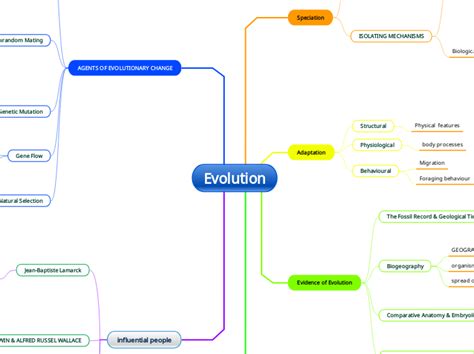 Evolution - Mind Map