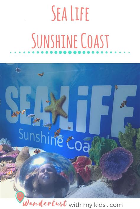 Sea Life Mooloolaba, Underwater World Mooloolaba, Sunshine Coast Attractions, Sea Life, aquarium ...