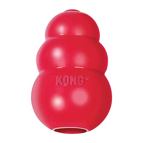 10 Best Toys To Keep Your Dog Busy Indoors | Dog Toys Advisor