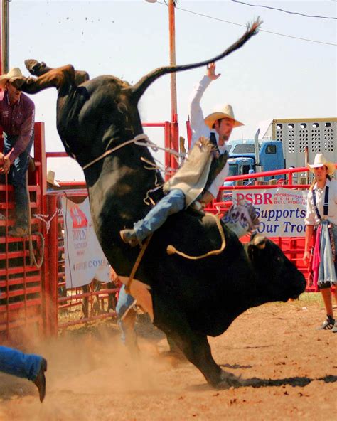 Bull Riding Wallpapers (62+ images)