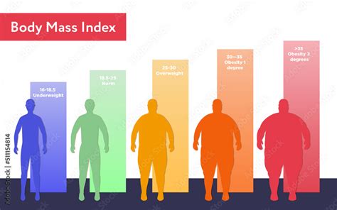 Obesity Chart