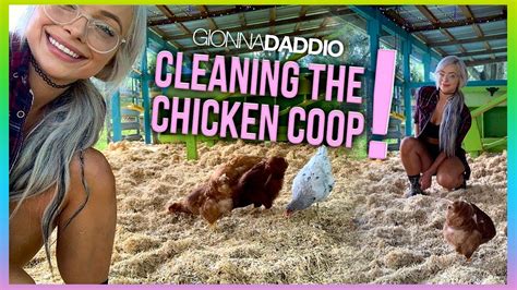 CLEANING THE CHICKEN COOP | WONDERLAND RANCH - YouTube