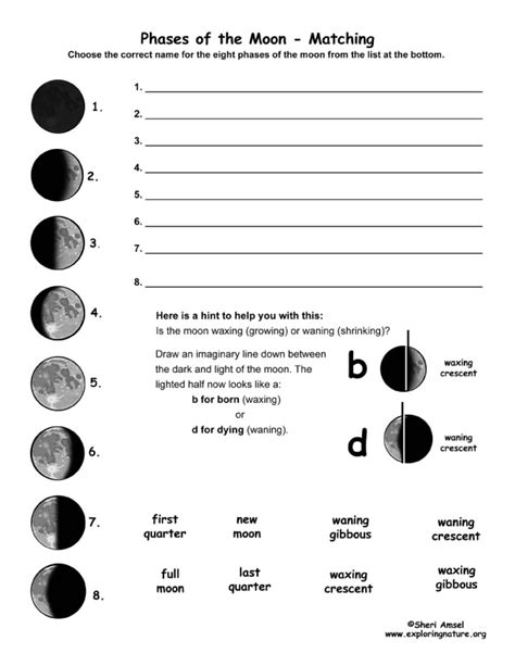 Phases of the Moon - Matching