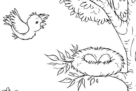 Bird Coloring Pages: Free Printable Coloring Pages of Our Feathered Friends | Printables ...