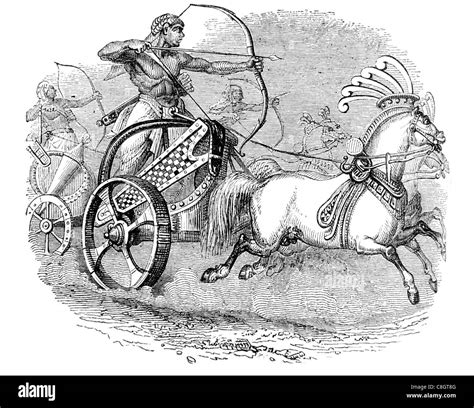 Chariots chariot ancient Egyptian society chariotry King’s military Stock Photo, Royalty Free ...