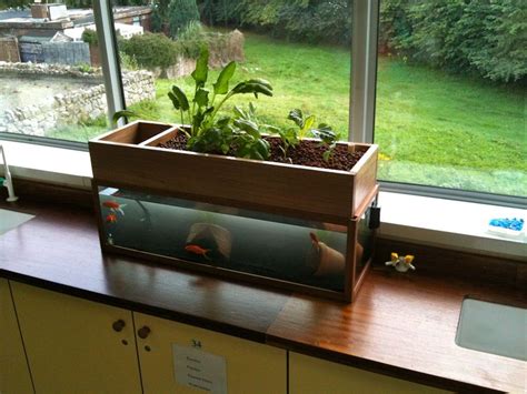 25+ Super Easy Aquaponics Diy Fishtank That You May Make It Self — Freshouz Home & Architecture ...