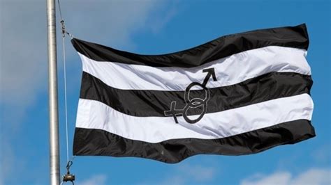 Petition · Straight Pride Flag Emoji - United States · Change.org